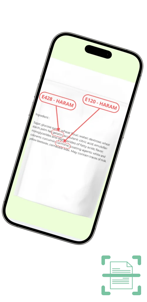 TagHalal App - Scan Additives from text