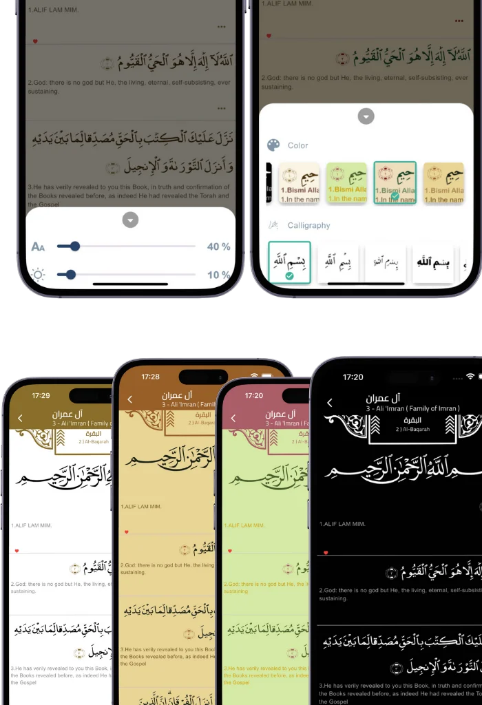 Custom Quran reading interface with different styles and fonts