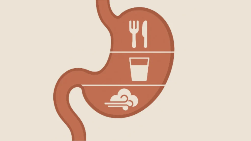 Illustration of stomach divided into three parts: food, drink, and air – Islamic dietary hadith