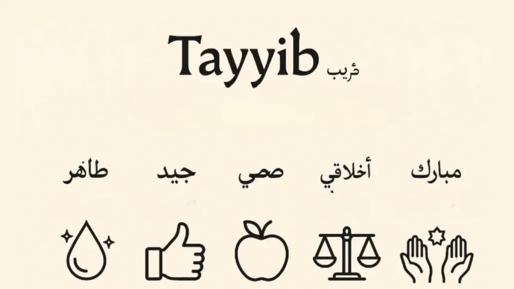 Tayyib Arabic meaning with icons for purity, goodness, health, ethics, blessings