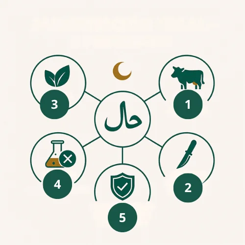 Infographic with icons explaining five principles of halal eating.